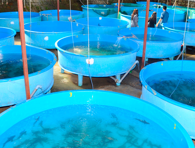 Aquaculture Fish Farm Oxygen Gas supply image